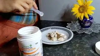 Improve Your Dog's Bone Health with VETNEX Seaweed Calcium Powder