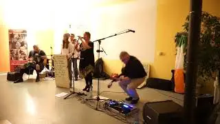Celtic Tree live in the ZIBB Nov 2017.