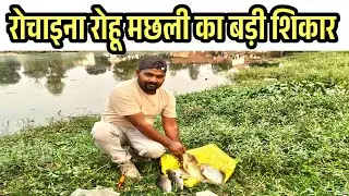 Fishing | Fish Catching Videos | Gucha Gal fishing | Carp Bait Casting Technique