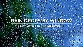 30 Minutes Rain at Dawn, Rain Droplets on Windowsill + Thunder, Relaxing Nature Sounds for Sleep