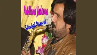 Pukhtana Yaadona