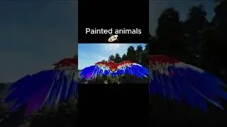 Ark Survival Ascended | Painted animals no mods #ark #arksurvivalascended