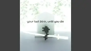 Your Last Blink (Until You Die)