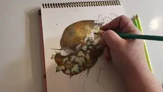 Coloring With Holbein Pencils For The First Time