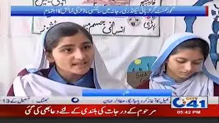 Government Girls arranged to show scientific models in high school registration | City 41
