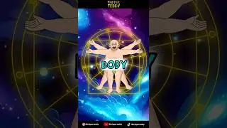 Tripper Teddy - Divine Design