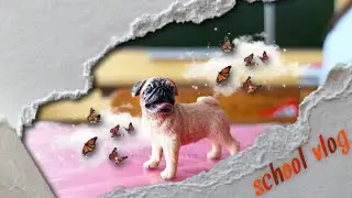 Влог в школе с The Dog Collection Official! (читай описание)