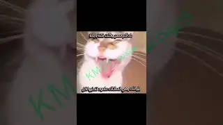 كود نون KMG9 #ميمز #ضحك #funny #pov