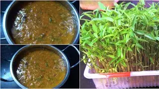 Moongdal microgreens curry # microgreen dal # green gram leaves dal