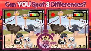 Find the 3 Differences | National Wildlife Day | Spot 3 Differences | Family Game | Brain Challenge