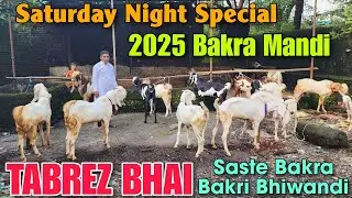 Saturday Night Special Offer Goat At TABREZ BHAI | 2025 Bakra Mandi In Bhiwandi 