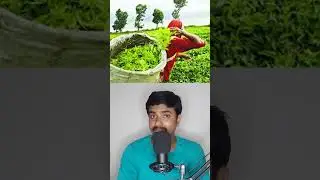 বিশ্বের সবচেয়ে দামি চা ! #shorts #facts #bengali #uniloop