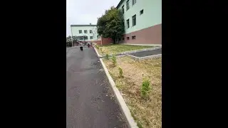 თაობათა თანამშრომლობა სკოლის გამწვანებისთვის