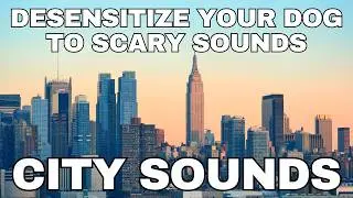 Dog Desensitization Sounds for Dogs & Puppies: City Sounds