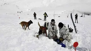 Four dead, five missing in massive French Alps avalanche