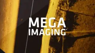 MEGA Imaging - Saltwater