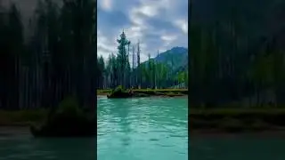 travel with jawad