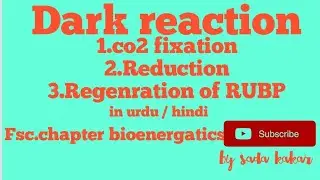 Dark reaction /co2 fixation/Reduction/regenration of RUBp/in urdu hindi