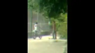amor al skate
