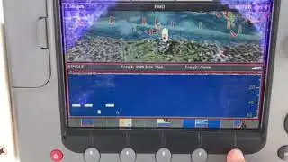 Raymarine E80