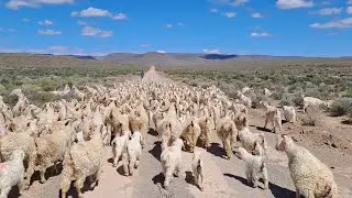 We wanted to do this for so long | KAROO KIDS