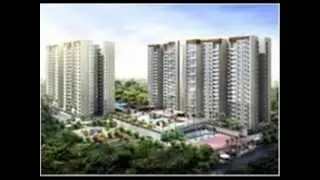 Pebble Bay Review Banglore