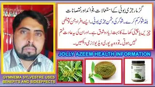 Gurmar / gudmar jaribooti kay fawaid aor nuqsan | gymnema sylvestre uses benefits and sideeffects |