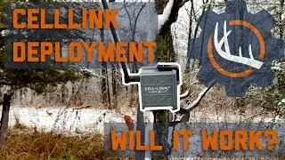 Muzzy Prep: CellLink Placement