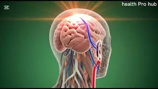 What Happens Inside Your Body After Drinking Angur Juice | 3D Medical Animation