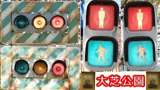 大芝公園のゼブラ付角型200φ　点灯！