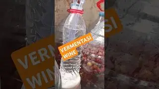 fermentasi wine kopi arabika #coffee #kopisehat #fermentasi #wine #wineproduction @SkPKM