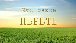 Очень интересное слово от наших предков. Вещает Арисветъ.
