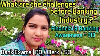 What are the challenges before Banking Industry ? | Financial & Banking Awareness - 313 | Bank Exams