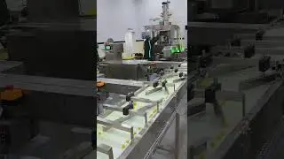 **Fully Automated 4g Chicken Bouillon Cube Production Line | High-Speed Manufacturing Solution**