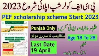 PEF scholarship scheme Start 2023 | How to apply PEF scholarship scheme 2023