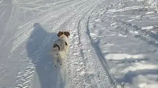Утро