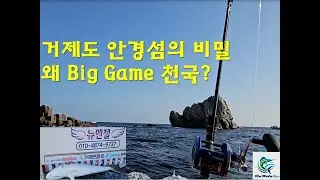 거제도 안경섬의 비밀! 왜 Big Fish 천국? (Secrete of Geoje Island, Why Big Fish Heaven?) #釣り #fish #낚시 #fishing
