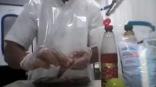 3 Dicas de como  limpar camarão