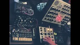 SLRPS - techno tease outs