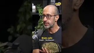 How Bad Alcohol For Brain 🧠! @rajshamani  #podcastclips #shortsfeed #youtubeshorts #viralclips