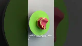 Educational Model for Implant Denture price China Manufacturer,implant models dental Manufacturer,