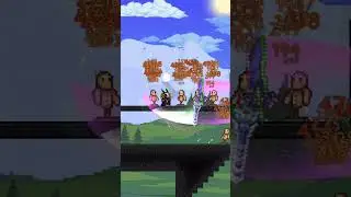 Max Crit Chance Zenith #terraria #generalknowledge #knowledge #setup