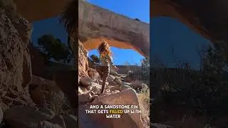 Arches in Moab Utah #Geology #Sandstone #Arches ￼￼