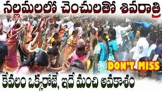 chance to celebrate Shivratri with chenchu's in Nallamala. sivaratri. #Mahasivaratri 2025 srisailam