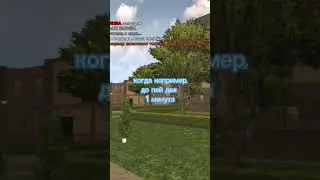 Внимание разрабы исправьте это.#shorts #gta #black #br #chilli #blackrussia #крмп #рп #блекраша #баг