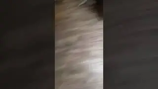 отель Алмира  в городе Самара Заводское шоссе, 73