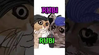 #edit #cat #chipichipichapachapadubidubidabadaba