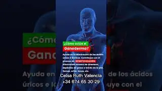 GANODERMA LUCIDUM (el hongo de la inmortalidad) beneficios