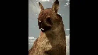 pvm #moa #procoptodon #kangaroo #wallaby #australia #newzealand #debate #edit #capcut #wis #animals