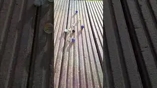 Marble Run ASMR | Sunny Patio